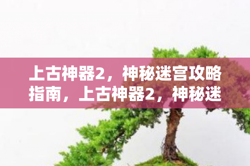 神秘迷宫攻略全解析图片