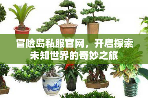 开启探索未知世界的奇妙之旅图片