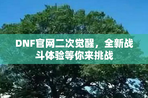 全新战斗体验等你来挑战图片