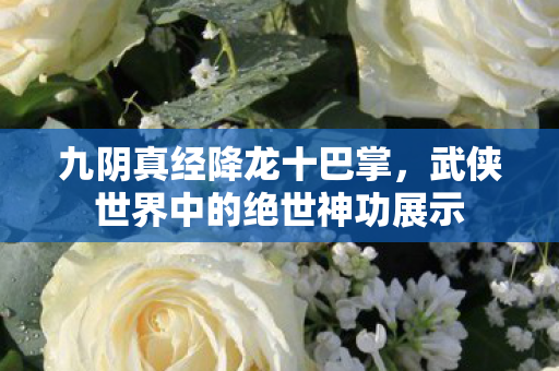 武侠世界中的绝世神功展示图片