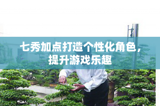 七秀加点打造个性化角色图片