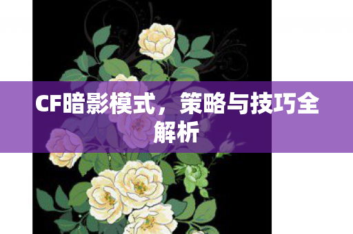策略与技巧全解析图片