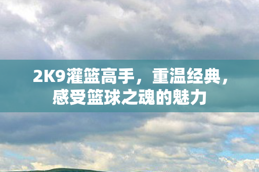感受篮球之魂的魅力图片