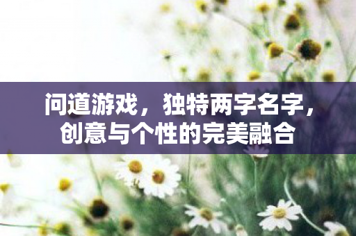 创意与个性的完美融合图片
