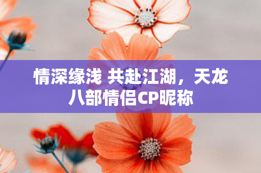 天龙八部情侣CP昵称图片