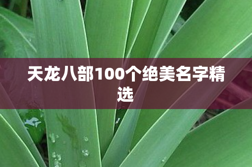 天龙八部100个绝美名字精选图片