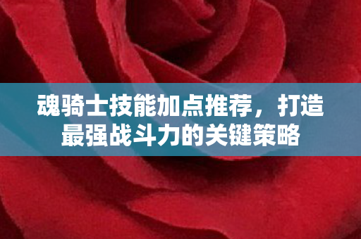 打造最强战斗力的关键策略图片