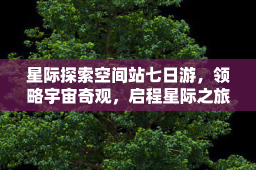 星际探索空间站七日游图片