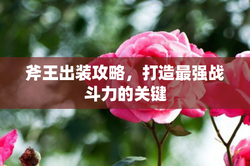 打造最强战斗力的关键图片