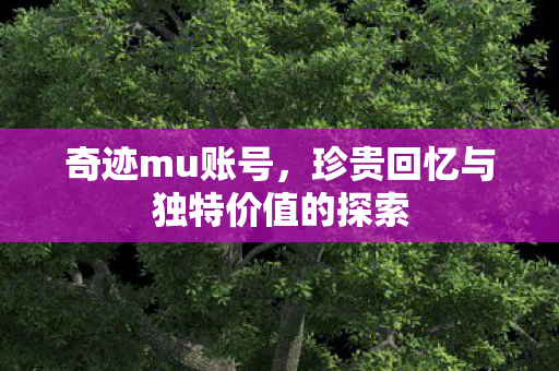 珍贵回忆与独特价值的探索图片
