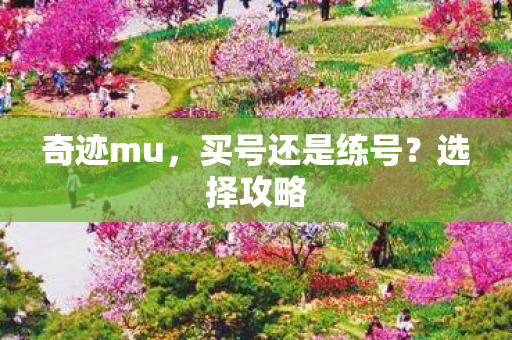 买号还是练号图片