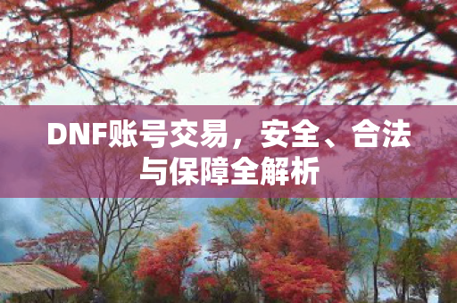 合法与保障全解析图片
