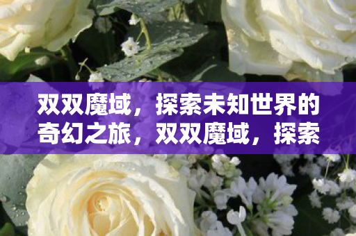 双双魔域,探索未知世界的奇幻之旅,双双魔域,探索未知世界的奇幻冒险之旅 双双魔域,探索未知世界的奇幻之旅,双双魔域,探索未知世界的奇幻冒险之旅