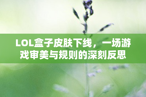 一场游戏审美与规则的深刻反思图片