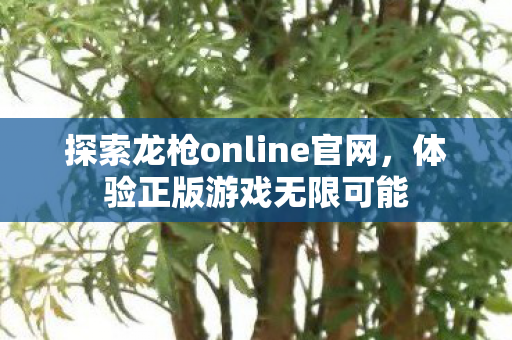 探索龙枪online官网图片