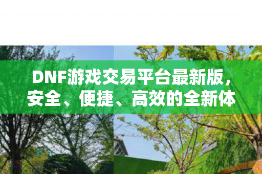 DNF游戏交易平台最新版图片