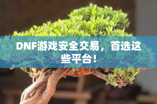 DNF游戏安全交易图片