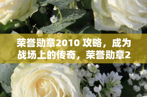 荣誉勋章2010 攻略,成为战场上的传奇,荣誉勋章2010攻略,打造战场传奇,成就荣耀之路 荣誉勋章2010 攻略,成为战场上的传奇,荣誉勋章2010攻略,打造战场传奇,成就荣耀之路