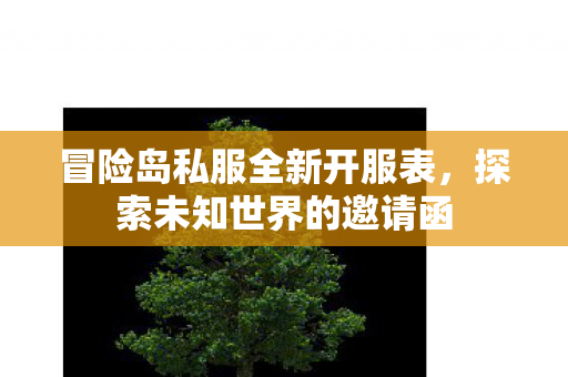 冒险岛私服全新开服表图片
