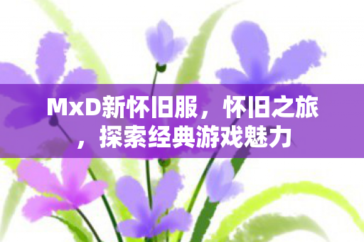 探索经典游戏魅力图片