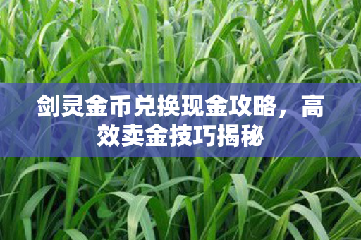剑灵金币兑换现金攻略图片