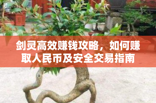 如何赚取人民币及安全交易指南图片