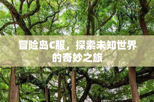 冒险岛C服,探索未知世界的奇妙之旅 冒险岛C服,探索未知世界的奇妙之旅