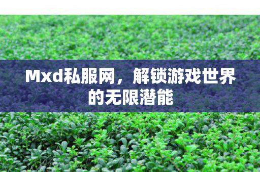 解锁游戏世界的无限潜能图片