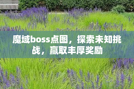 魔域boss点图，探索未知挑战，赢取丰厚奖励