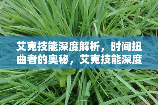 艾克技能深度解析,时间扭曲者的奥秘,艾克技能深度解析,揭秘时间扭曲者的奥秘 艾克技能深度解析,时间扭曲者的奥秘,艾克技能深度解析,揭秘时间扭曲者的奥秘