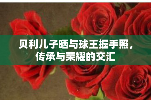 贝利儿子晒与球王握手照图片