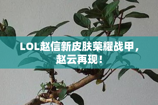 LOL赵信新皮肤荣耀战甲图片