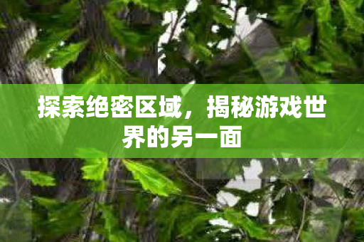 揭秘游戏世界的另一面图片