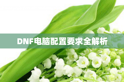 DNF电脑配置要求全解析图片