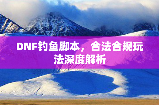 合法合规玩法深度解析图片