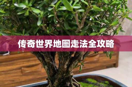 传奇世界地图走法全攻略图片