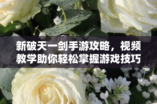 视频教学助你轻松掌握游戏技巧图片
