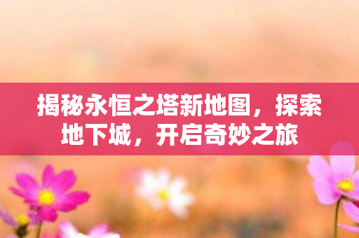 揭秘永恒之塔新地图图片