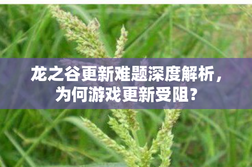 龙之谷更新难题深度解析图片