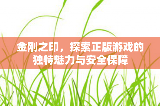 探索正版游戏的独特魅力与安全保障图片