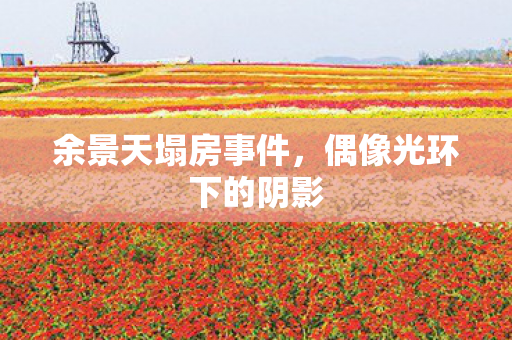 偶像光环下的阴影图片
