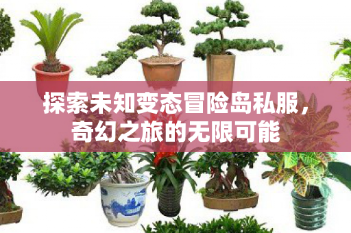 探索未知变态冒险岛私服图片