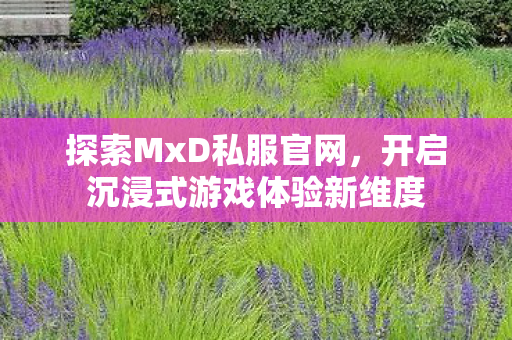 开启沉浸式游戏体验新维度图片