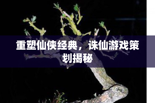 诛仙游戏策划揭秘图片