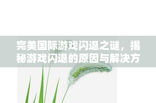 揭秘游戏闪退的原因与解决方法图片