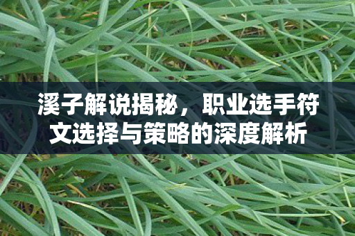 职业选手符文选择与策略的深度解析图片