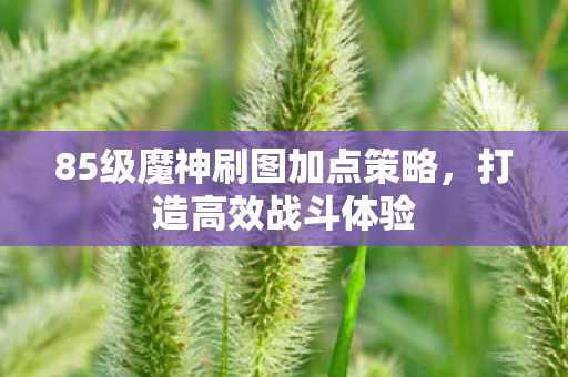 85级魔神刷图加点策略图片