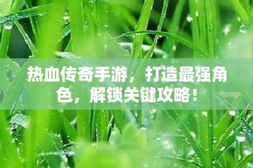 热血传奇手游图片