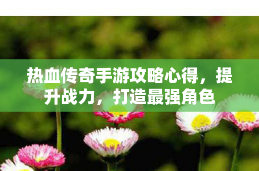 热血传奇手游攻略心得图片
