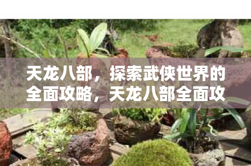 探索武侠世界的全面攻略图片